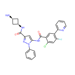 N[C@H]1C[C@@H](NC(=O)c2cc(NC(=O)c3cc(-c4ccccn4)c(F)cc3Cl)n(-c3ccccc3)n2)C1 ZINC001772578240