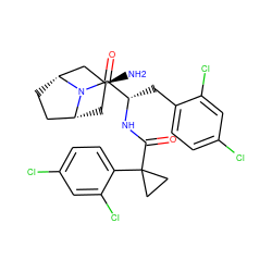 N[C@H]1C[C@@H]2CC[C@H](C1)N2C(=O)[C@H](Cc1ccc(Cl)cc1Cl)NC(=O)C1(c2ccc(Cl)cc2Cl)CC1 ZINC000254091775