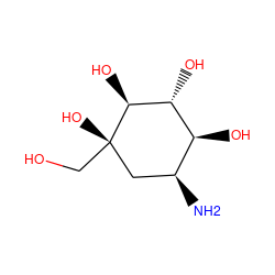 N[C@H]1C[C@](O)(CO)[C@@H](O)[C@H](O)[C@H]1O ZINC000005157081