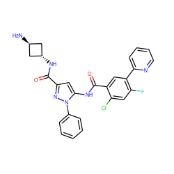 N[C@H]1C[C@H](NC(=O)c2cc(NC(=O)c3cc(-c4ccccn4)c(F)cc3Cl)n(-c3ccccc3)n2)C1 ZINC001772607176