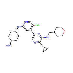 N[C@H]1CC[C@H](Nc2cc(-c3cnc(C4CC4)c(NCC4CCOCC4)n3)c(Cl)cn2)CC1 ZINC000261099394