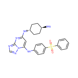 N[C@H]1CC[C@H](Nc2cc(Nc3ccc(S(=O)(=O)c4ccccc4)cc3)n3ncnc3n2)CC1 ZINC000253883794