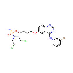 N[P@](=O)(OCCCCOc1ccc2ncnc(Nc3cccc(Br)c3)c2c1)N(CCCl)CCCl ZINC000207567502