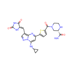 NC(=O)[C@@H]1CN(C(=O)c2ccc(-c3cc(NC4CC4)n4ncc(/C=C5\NC(=O)NC5=O)c4n3)s2)CCN1 ZINC000144874352