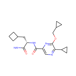 NC(=O)[C@H](CC1CCC1)NC(=O)c1cnc(C2CC2)c(OCC2CC2)n1 ZINC000207420683