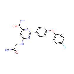 NC(=O)CNc1cc(C(N)=O)nc(-c2ccc(Oc3ccc(F)cc3)cc2)n1 ZINC000142446793