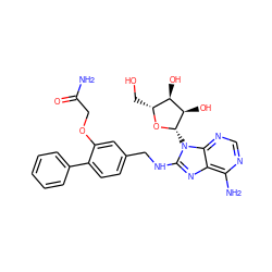 NC(=O)COc1cc(CNc2nc3c(N)ncnc3n2[C@@H]2O[C@H](CO)[C@@H](O)[C@H]2O)ccc1-c1ccccc1 ZINC000144532757