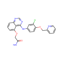 NC(=O)COc1cccc2ncnc(Nc3ccc(OCc4ccccn4)c(Cl)c3)c12 ZINC000029130110