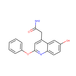 NC(=O)Cc1cc(Oc2ccccc2)nc2ccc(O)cc12 ZINC000029393016