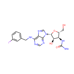 NC(=O)N[C@@H]1[C@@H](CO)O[C@@H](n2cnc3c(NCc4cccc(I)c4)ncnc32)[C@@H]1O ZINC000034800736