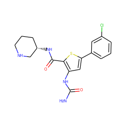 NC(=O)Nc1cc(-c2cccc(Cl)c2)sc1C(=O)N[C@H]1CCCNC1 ZINC000084688736