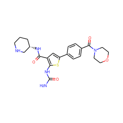 NC(=O)Nc1sc(-c2ccc(C(=O)N3CCOCC3)cc2)cc1C(=O)N[C@H]1CCCNC1 ZINC000040422279