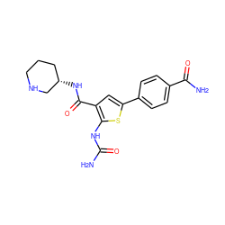 NC(=O)Nc1sc(-c2ccc(C(N)=O)cc2)cc1C(=O)N[C@H]1CCCNC1 ZINC000040423679