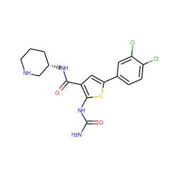 NC(=O)Nc1sc(-c2ccc(Cl)c(Cl)c2)cc1C(=O)N[C@H]1CCCNC1 ZINC000084708802