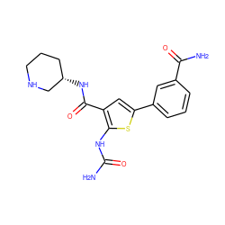 NC(=O)Nc1sc(-c2cccc(C(N)=O)c2)cc1C(=O)N[C@H]1CCCNC1 ZINC000040893653