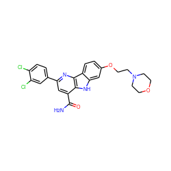 NC(=O)c1cc(-c2ccc(Cl)c(Cl)c2)nc2c1[nH]c1cc(OCCN3CCOCC3)ccc12 ZINC000113262007