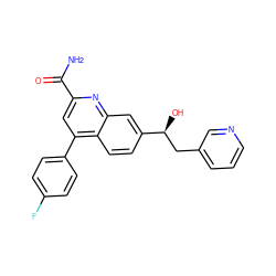 NC(=O)c1cc(-c2ccc(F)cc2)c2ccc([C@@H](O)Cc3cccnc3)cc2n1 ZINC000221606925