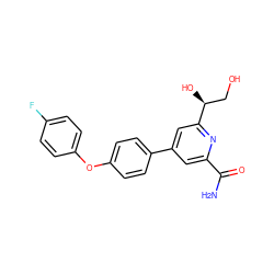 NC(=O)c1cc(-c2ccc(Oc3ccc(F)cc3)cc2)cc([C@@H](O)CO)n1 ZINC000114591482