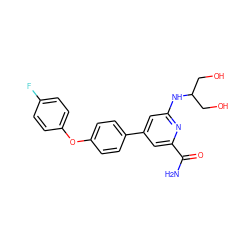 NC(=O)c1cc(-c2ccc(Oc3ccc(F)cc3)cc2)cc(NC(CO)CO)n1 ZINC000114593187