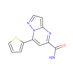 NC(=O)c1cc(-c2cccs2)n2nccc2n1 ZINC000063539264