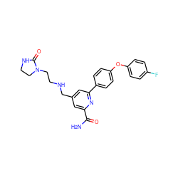 NC(=O)c1cc(CNCCN2CCNC2=O)cc(-c2ccc(Oc3ccc(F)cc3)cc2)n1 ZINC000114592265
