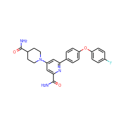 NC(=O)c1cc(N2CCC(C(N)=O)CC2)cc(-c2ccc(Oc3ccc(F)cc3)cc2)n1 ZINC000114592921