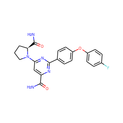 NC(=O)c1cc(N2CCC[C@H]2C(N)=O)nc(-c2ccc(Oc3ccc(F)cc3)cc2)n1 ZINC000142411227