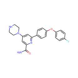 NC(=O)c1cc(N2CCNCC2)cc(-c2ccc(Oc3ccc(F)cc3)cc2)n1 ZINC000114591618