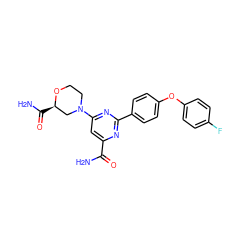 NC(=O)c1cc(N2CCO[C@H](C(N)=O)C2)nc(-c2ccc(Oc3ccc(F)cc3)cc2)n1 ZINC000142607143