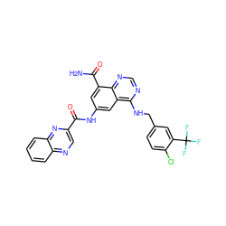 NC(=O)c1cc(NC(=O)c2cnc3ccccc3n2)cc2c(NCc3ccc(Cl)c(C(F)(F)F)c3)ncnc12 ZINC000114346744