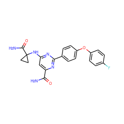 NC(=O)c1cc(NC2(C(N)=O)CC2)nc(-c2ccc(Oc3ccc(F)cc3)cc2)n1 ZINC000142479683
