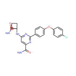 NC(=O)c1cc(NC2(C(N)=O)CCC2)nc(-c2ccc(Oc3ccc(F)cc3)cc2)n1 ZINC000142527702