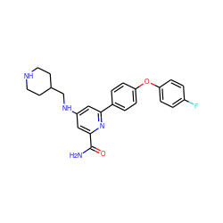 NC(=O)c1cc(NCC2CCNCC2)cc(-c2ccc(Oc3ccc(F)cc3)cc2)n1 ZINC000114593002