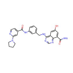 NC(=O)c1cc(O)cc2c(NCc3cccc(NC(=O)c4ccnc(N5CCCC5)c4)c3)ncnc12 ZINC000166975691