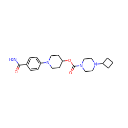 NC(=O)c1ccc(N2CCC(OC(=O)N3CCN(C4CCC4)CC3)CC2)cc1 ZINC000223498232