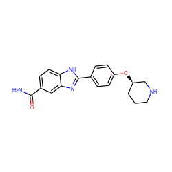 NC(=O)c1ccc2[nH]c(-c3ccc(O[C@@H]4CCCNC4)cc3)nc2c1 ZINC000028959937