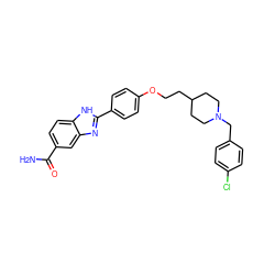 NC(=O)c1ccc2[nH]c(-c3ccc(OCCC4CCN(Cc5ccc(Cl)cc5)CC4)cc3)nc2c1 ZINC000028960919