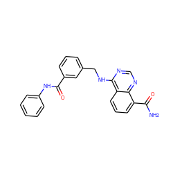 NC(=O)c1cccc2c(NCc3cccc(C(=O)Nc4ccccc4)c3)ncnc12 ZINC000114347878