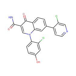 NC(=O)c1cn(-c2ccc(O)cc2Cl)c2cc(-c3ccncc3Cl)ccc2c1=O ZINC000027305763