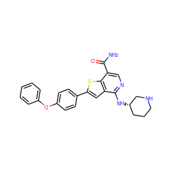 NC(=O)c1cnc(N[C@H]2CCCNC2)c2cc(-c3ccc(Oc4ccccc4)cc3)sc12 ZINC000064559392