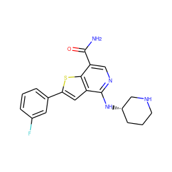 NC(=O)c1cnc(N[C@H]2CCCNC2)c2cc(-c3cccc(F)c3)sc12 ZINC000136872569