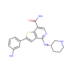 NC(=O)c1cnc(N[C@H]2CCCNC2)c2cc(-c3cccc(N)c3)sc12 ZINC000064559256