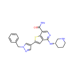 NC(=O)c1cnc(N[C@H]2CCCNC2)c2cc(-c3cnn(Cc4ccccc4)c3)sc12 ZINC000136872725