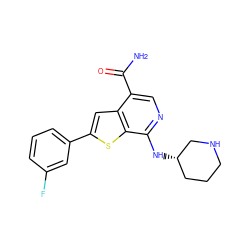 NC(=O)c1cnc(N[C@H]2CCCNC2)c2sc(-c3cccc(F)c3)cc12 ZINC000203827889