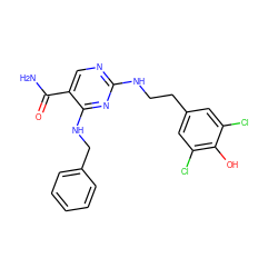 NC(=O)c1cnc(NCCc2cc(Cl)c(O)c(Cl)c2)nc1NCc1ccccc1 ZINC000040874065