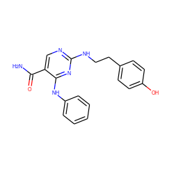 NC(=O)c1cnc(NCCc2ccc(O)cc2)nc1Nc1ccccc1 ZINC000028640818