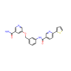 NC(=O)c1cncc(OCc2cccc(NC(=O)c3ccc(-c4cccs4)nc3)c2)c1 ZINC000653887047