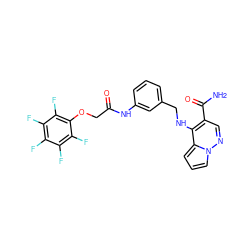 NC(=O)c1cnn2cccc2c1NCc1cccc(NC(=O)COc2c(F)c(F)c(F)c(F)c2F)c1 ZINC001772607886