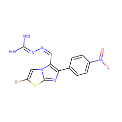 NC(N)=N/N=C\c1c(-c2ccc([N+](=O)[O-])cc2)nc2sc(Br)cn12 ZINC000073138040