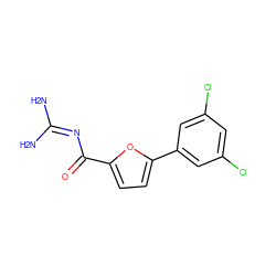 NC(N)=NC(=O)c1ccc(-c2cc(Cl)cc(Cl)c2)o1 ZINC000013642722